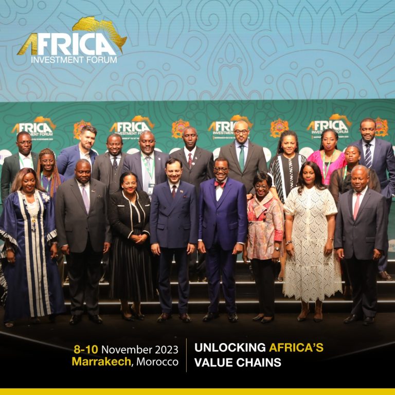Adesina Driving Connected Devt Across Africa: Showcasing Africa As Investors’ Haven