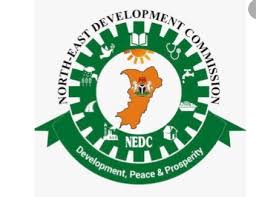 Corruption Allegations Against NEDC MD, ‘Unfounded, Baseless’ –  CSOs Declare