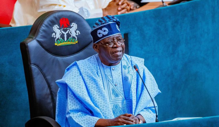 Nigerians In Diaspora Laud Tinubu Over Achievements, Caution Against Livestock Ministry