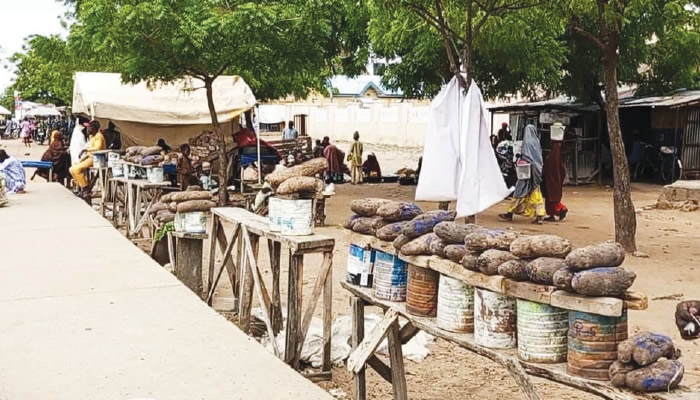 **Katsina Traders Struggle with Declining Sales Amid Protests**