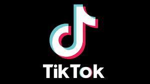 APC Chieftain Urges Federal Government to Enforce Strict Regulations on TikTok