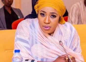 Call Ogbeche to Order, Arewa Group Tells Speaker Abbas