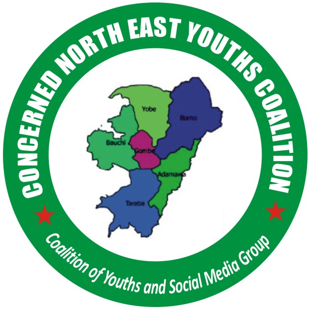 Consider Halimat Tejuosho for Humanitarian Affairs Minister, Arewa Youth Pleads