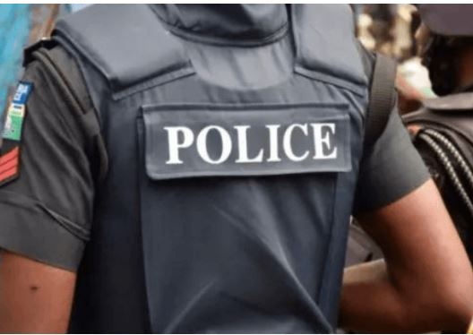  Dismissed Edo Policewoman Threatens to Kill Herself and Children After Controversial Dismissal