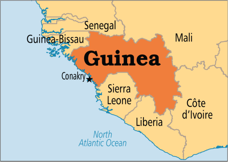 Dozens Dead in Violent Clashes During Guinea Football Match
