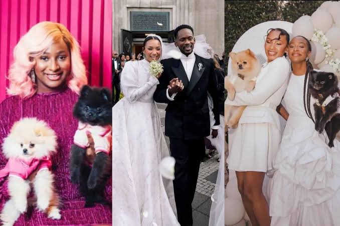 DJ Cuppy’s Dogs Sing Praises for Temi Otedola After White Wedding to Mr Eazi