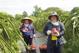 Injecting new momentum into global women’s development