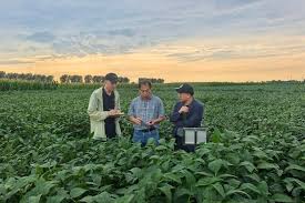 AI technology applied to improve crop breeding