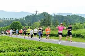 Rural cultural, sports activities are gaining momentum across China