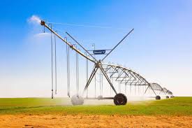 Accelerating the green transition through global consensus