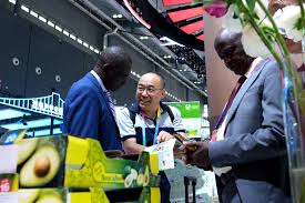 Hunan free trade zone introduces a new model for goods clearance