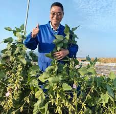 Breeding innovation expands soybean potential nationwide