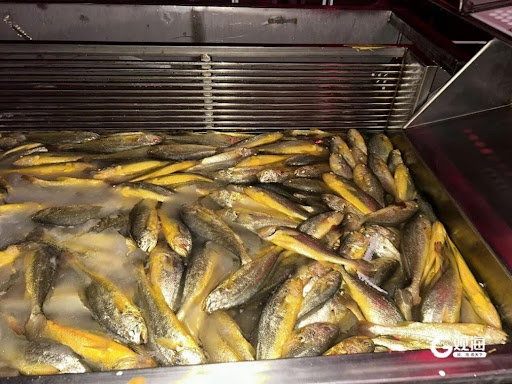 Engineering the ocean: China’s smart vessels transform aquaculture industry