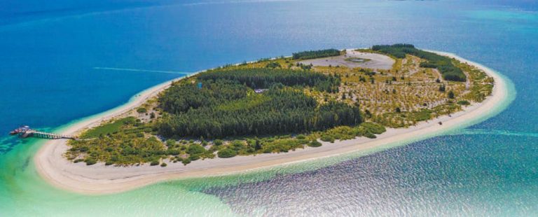 Greening a reef: quiet ecological revival of Xishazhou in Hainan