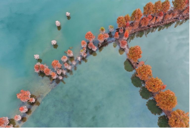 Improved water ecology transformed into economic benefits in Kaizhou district, Chongqing