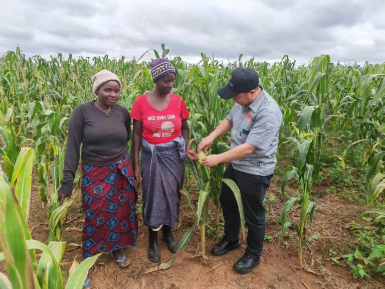 China’s Science and Technology Backyard program contributes to global green transformation of agriculture