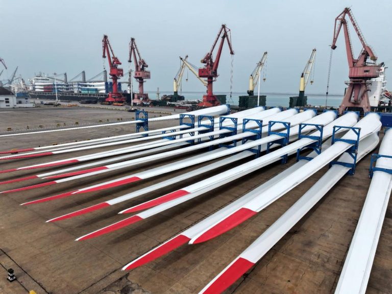 China’s major trading provinces showcase economic resilience and vitality