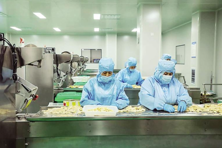 Big Data drives transformation in China’s ancient jujube industry