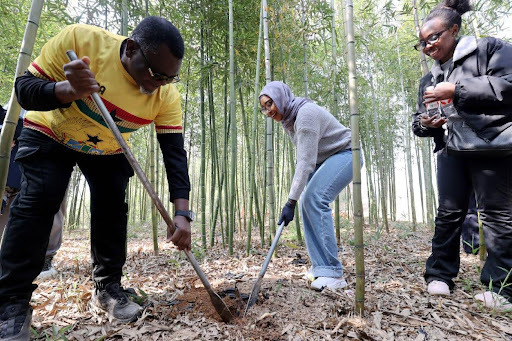 “Chinamaxxing”: a new wave of global cultural engagement