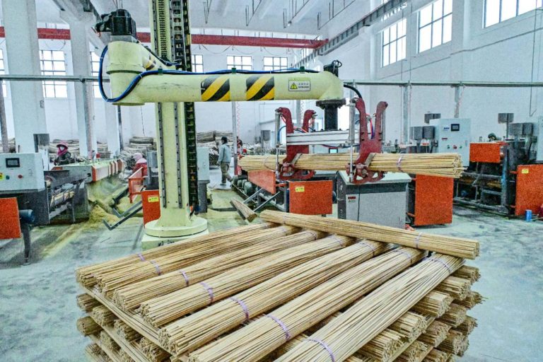 Bamboo: the tiny giant powering China’s plastic replacement drive
