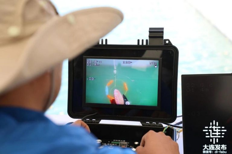 Underwater robots boost marine resource development in Dalian