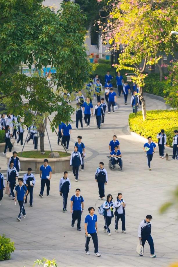 Shenzhen school transforms bird song complaint into valuable life lesson