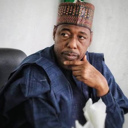 Open Letter to His Excellency, Prof. Babagana Umara Zulum