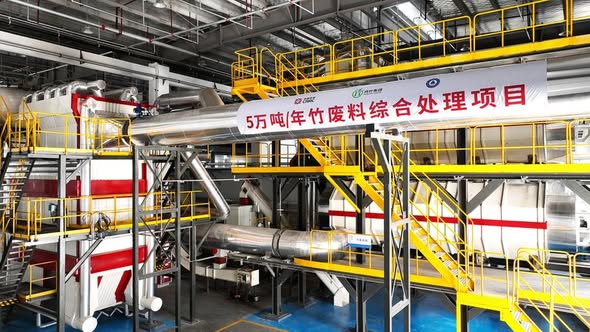 E China’s Chizhou cultivates sustainable bamboo industry