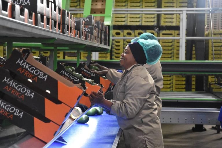 China’s zero-tariff policy widely applauded in Africa