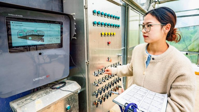 A vibrant China powered by youth