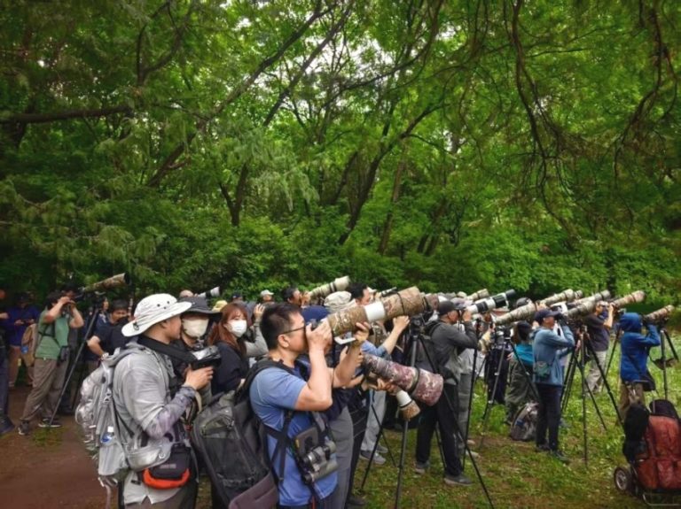 Beijing attracts growing number of bird species amid stronger ecological protection