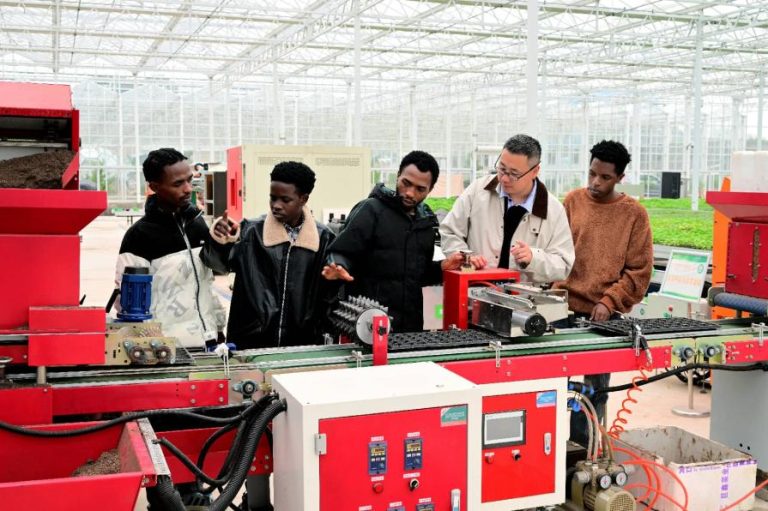 China’s poverty alleviation experience: global contribution to poverty eradication