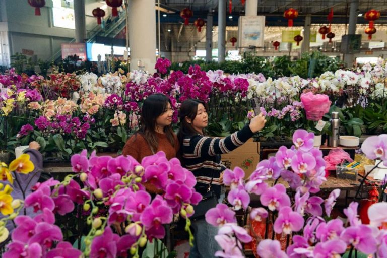 How pruning a heart-shaped tree reflects people-centered urban governance in China