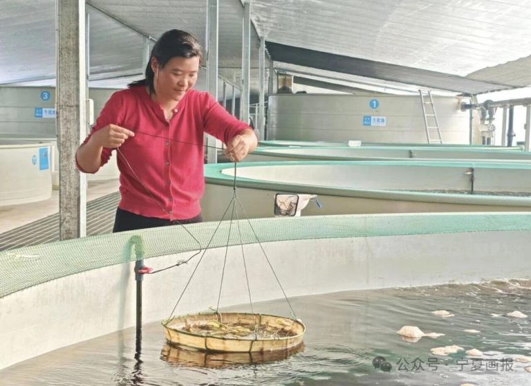 Fujian-Ningxia cooperation across three decades transforms desert settlement into thriving community