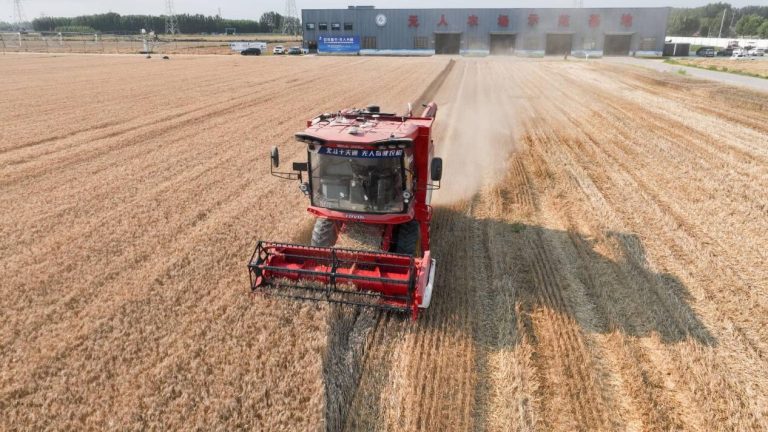 Technology transforms farming across China’s fields